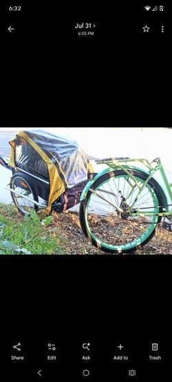 D'Lite child bike trailer