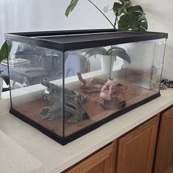 Terrarium