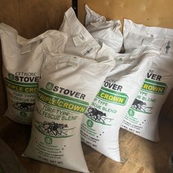 Triple Crown Tall Fescue Grass Seed