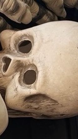 Halloween Skull Prop Large