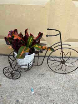 Metal Tricycle Plant Stand