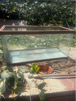 Reptile tanks