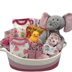 Baby Basket 