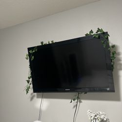 Sony Bravia Flat Screen TV