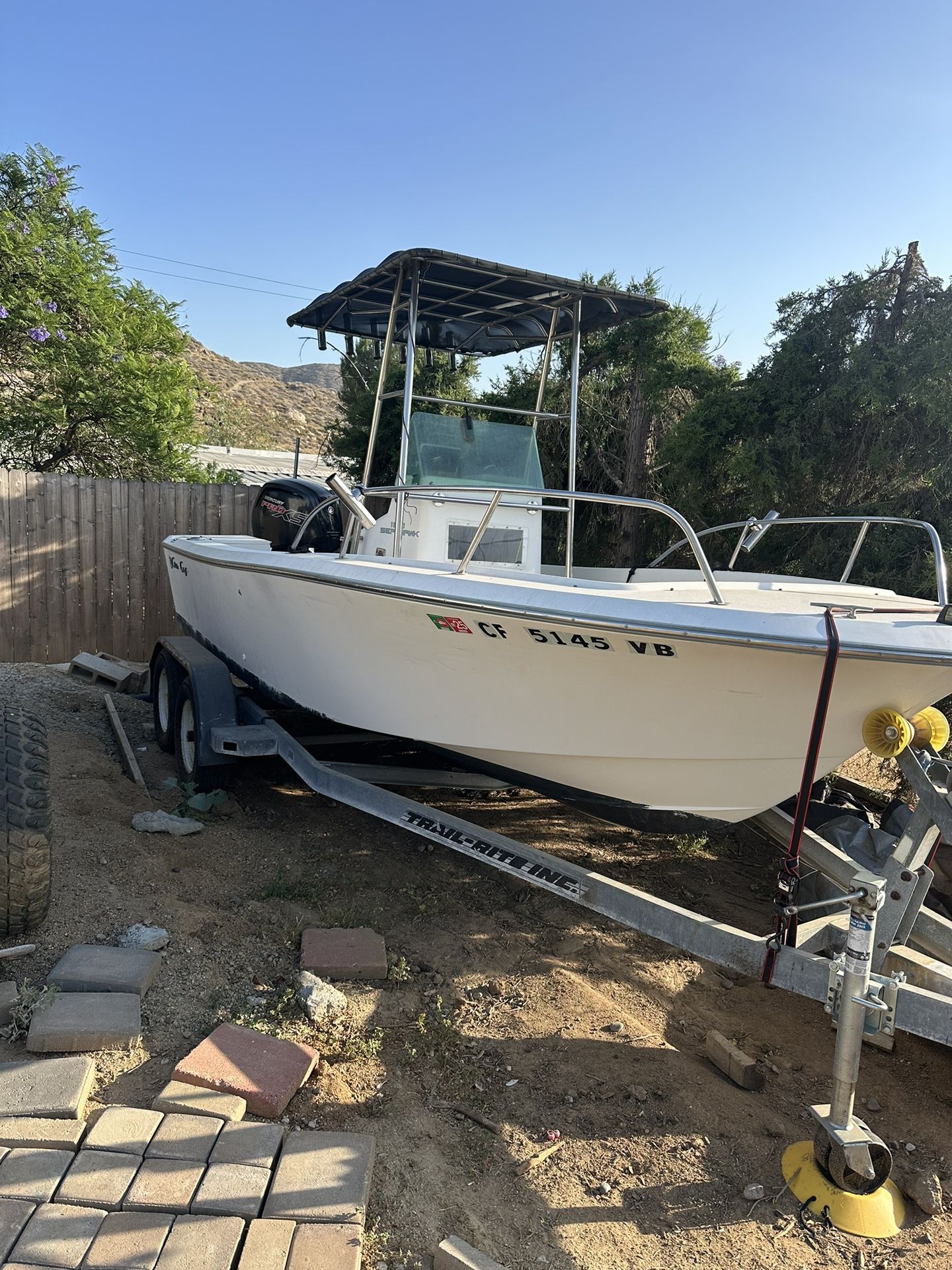 Chris Craft 19’