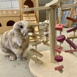 Small Animal Chew Toy