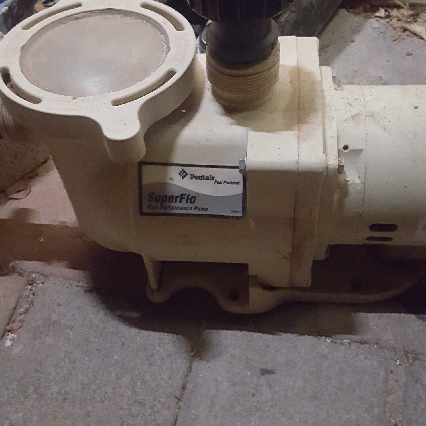 Pool Pump and 1.25 hp Motor