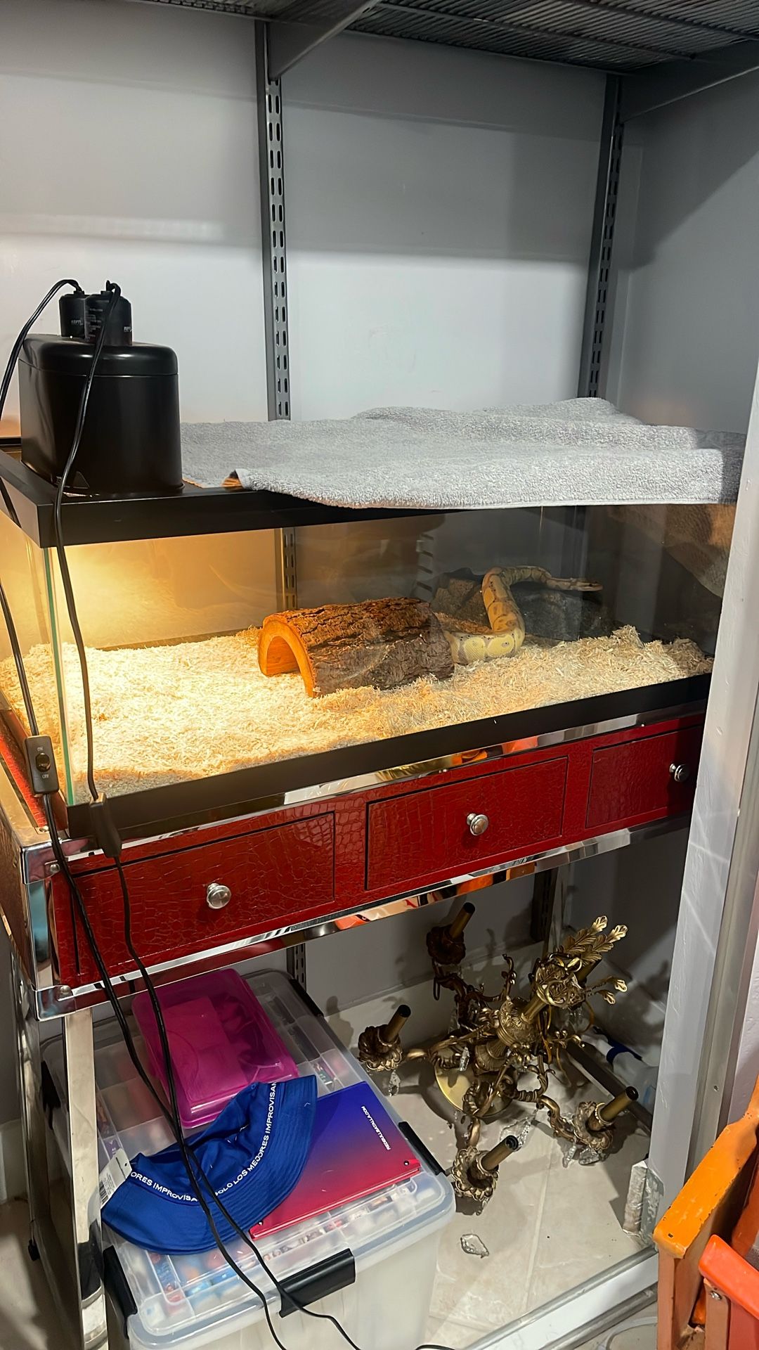 Snake Tank