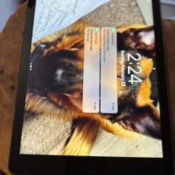 I Pad Air  Unlocked And Ready 