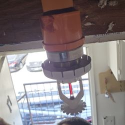 Fire Sprinkler Service
