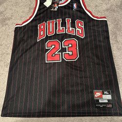 AIR JORDAN AUTHENTIC VINTAGE  NIKE JERSEY (NWT)