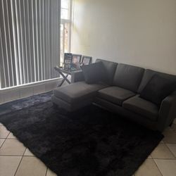Brand New Couch 