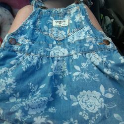 Infant Girls Oshkosh Bgosh Overall Floral  Dress Size 18M