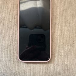 iPhone 13 With Cover