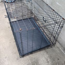 Frisco Fold & Carry Single Door Collapsible Wire Dog Crate, Med/Large
