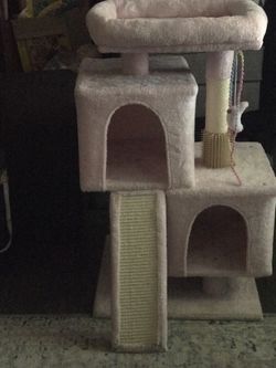 Cat House