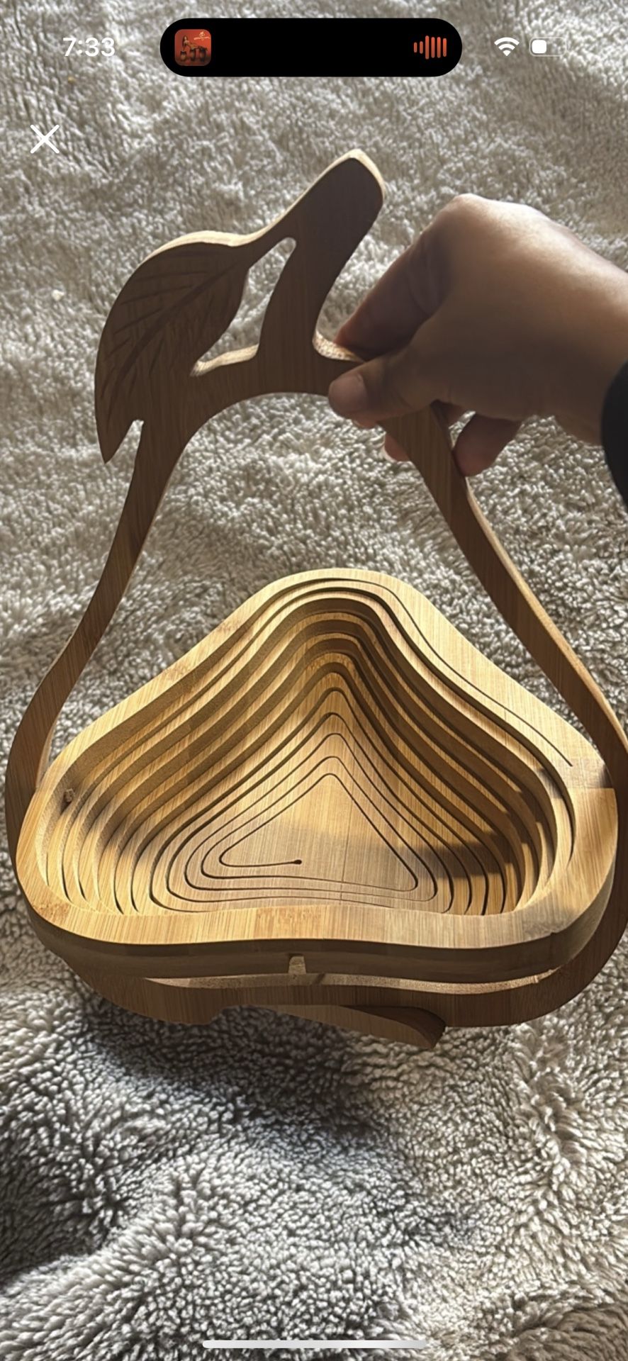 Pear Fruit Holder