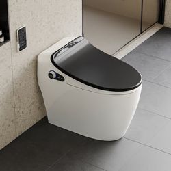 Modern Smart One-Piece 1.27 GPF Floor Mounted Elongated Toilet And Bidet With Seat