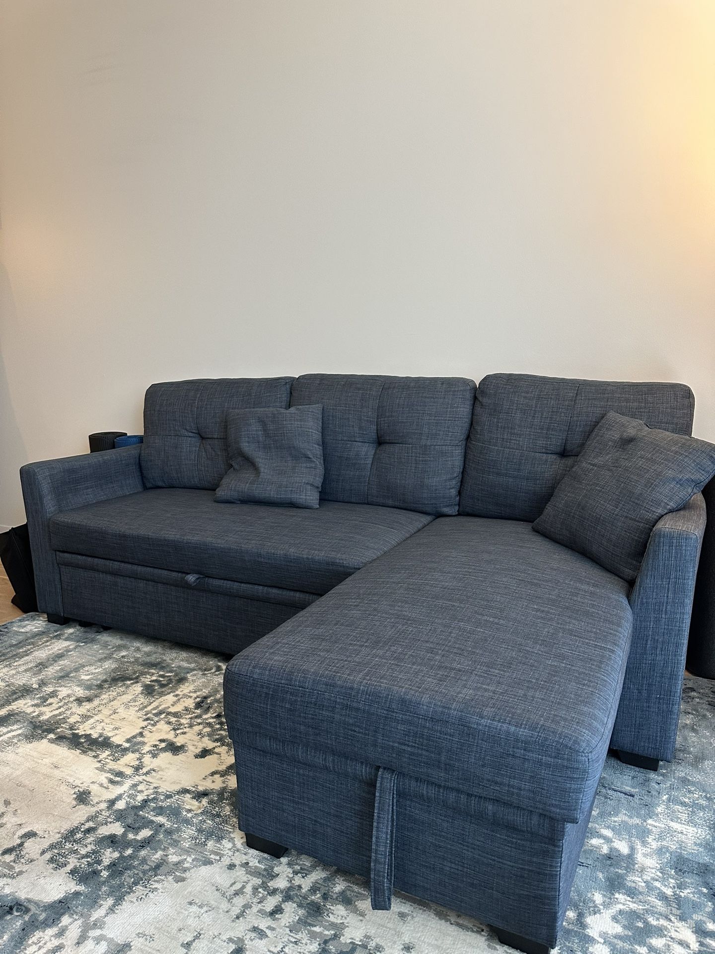 Pull-out Sectional Sofa with Storage Chaise