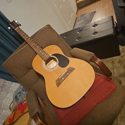 First Act Adam Levine AL363 Designer Series Acoustic Guitar – Price Negotiable