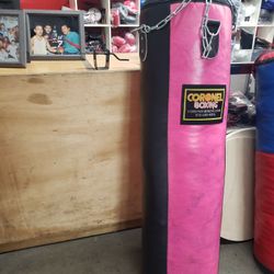 Punching Bag 