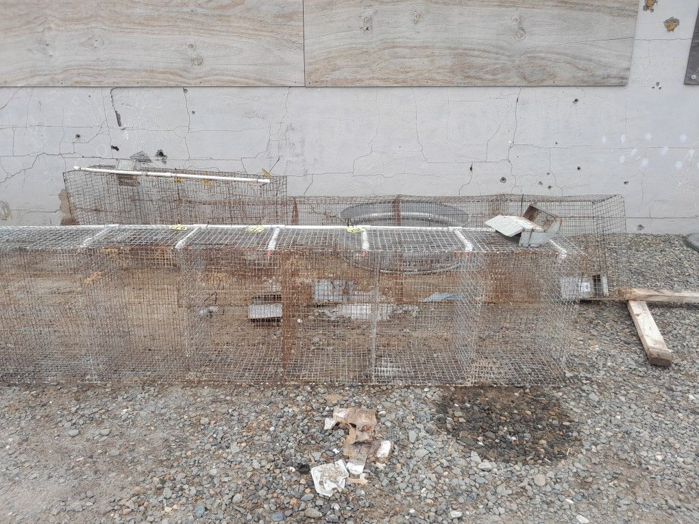 Rabbit / Bird Cages