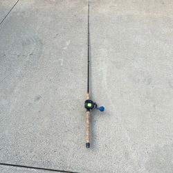 Fenwick  HMG Graphite / LEXA-WN 300H