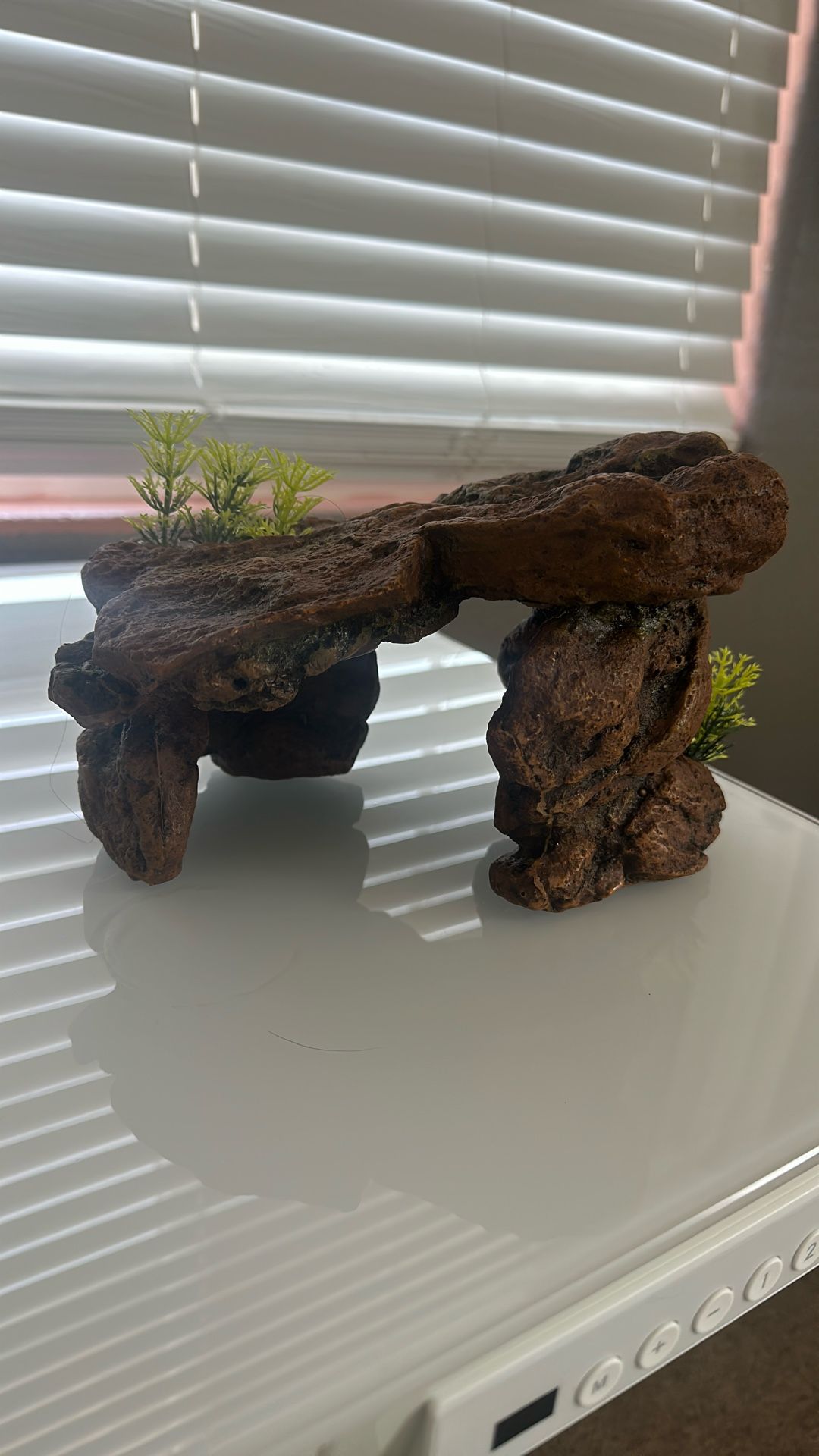 Aquarium Decore