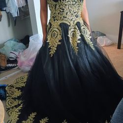 Quinceañera Dress 