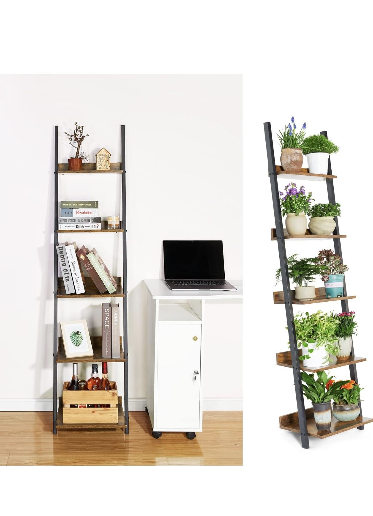Ladder Shelf
