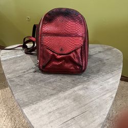 Cute Bag For Her - Xmas Gift - Pack Purse Coach / Steve Madden / BEBE