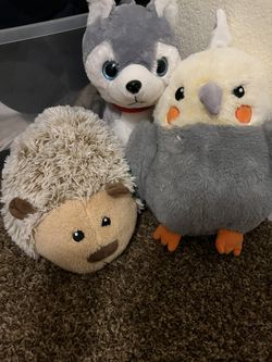 Stuffed Animals 