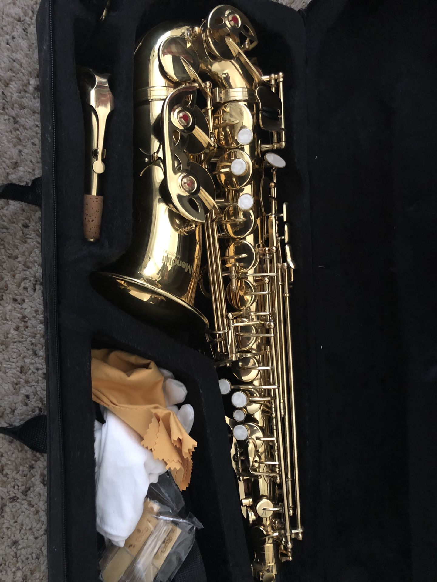 Gold E Flat Alto Saxophone with case & accessories
