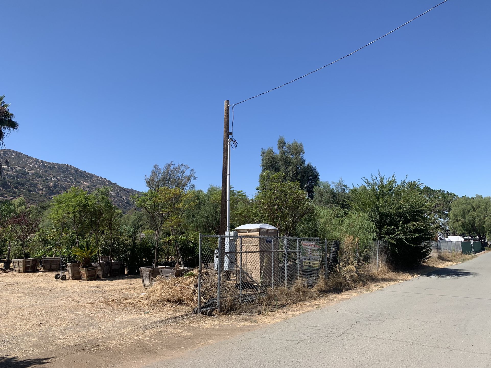 Grand New Open. Plant Wholesale