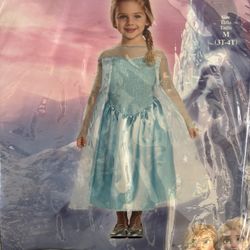 Disney Elsa Dress Costume Size 3 - 4 Kids Toddler 