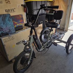 New Rad Electric Bike Trike