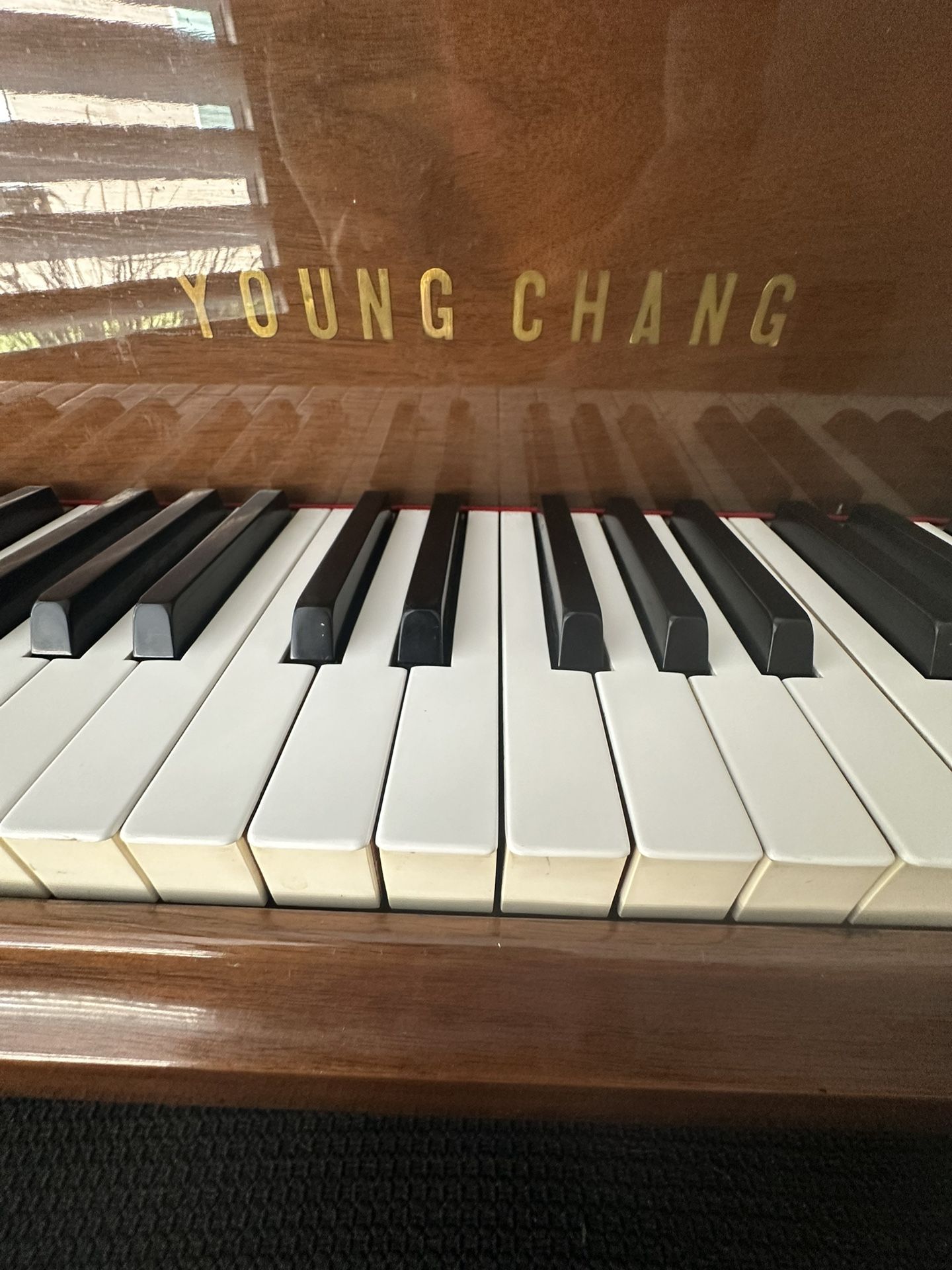 Baby Grand Piano By Young Chang
