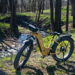 Brand-New Young Electric E-Flow Foldable eBike – 750W / 1000W Peak -  MSRP $1,899- Brand-New with Warranty Available for Wholesale and Drop-Shipping.