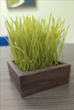 Artificial Grass Decor