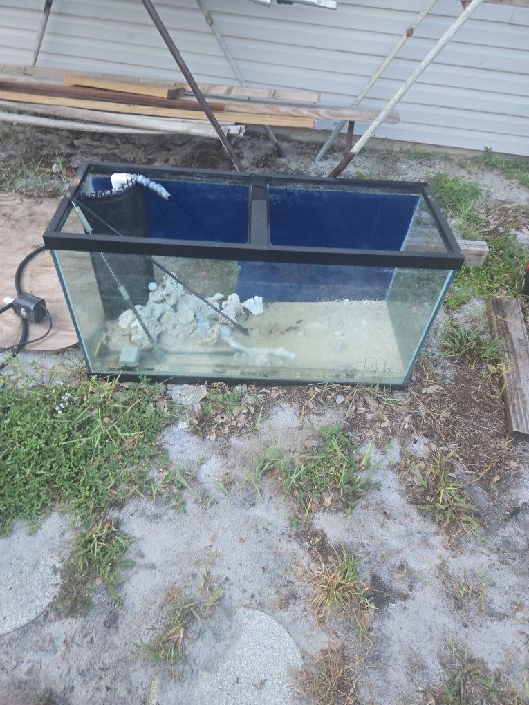 Big Saltwater Fish Tank