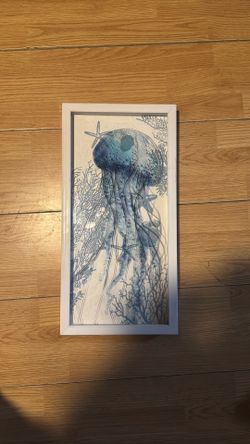 Jellyfish Frame