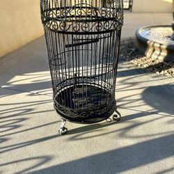 Bird Cage