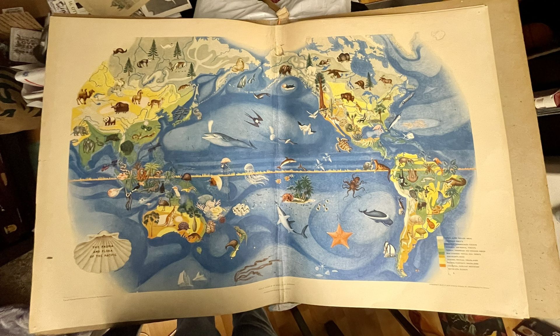 1940 VERY RARE Worlds Fair  Miguel Covarrubias Set