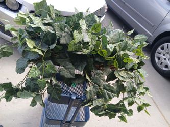 Fake ivy in a basket