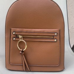 Backpack Purse (La Terre)