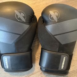 HAYABUSA Boxing Gloves