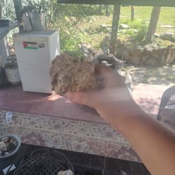 Rock with a bunch of mica shards