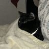 Sebastian 