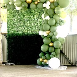 Balloons Decorations 