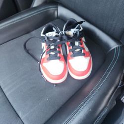 Nike Dunk Kids Size 11